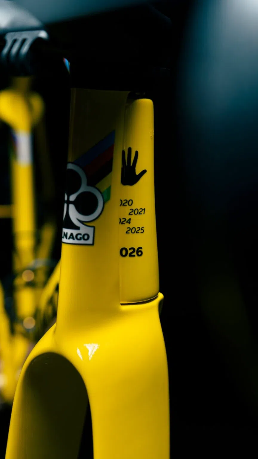 Tadej Pogačar Bike