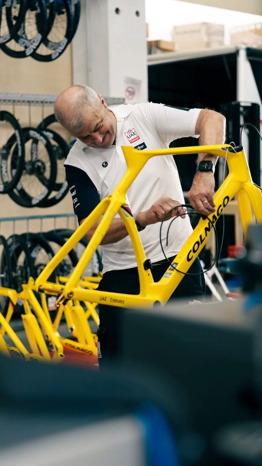 Tadej Pogačar Bike