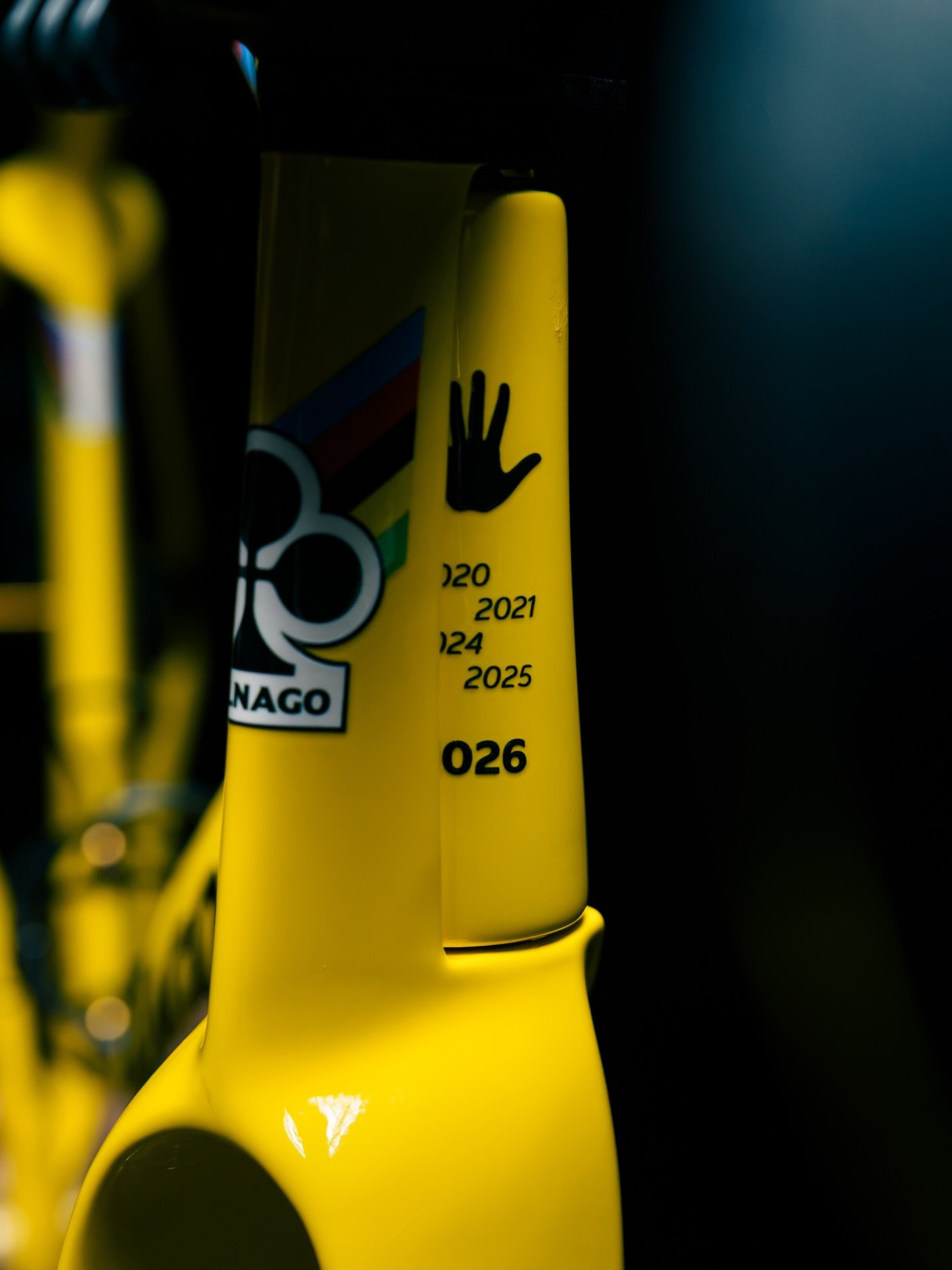 Tadej Pogačar Bike