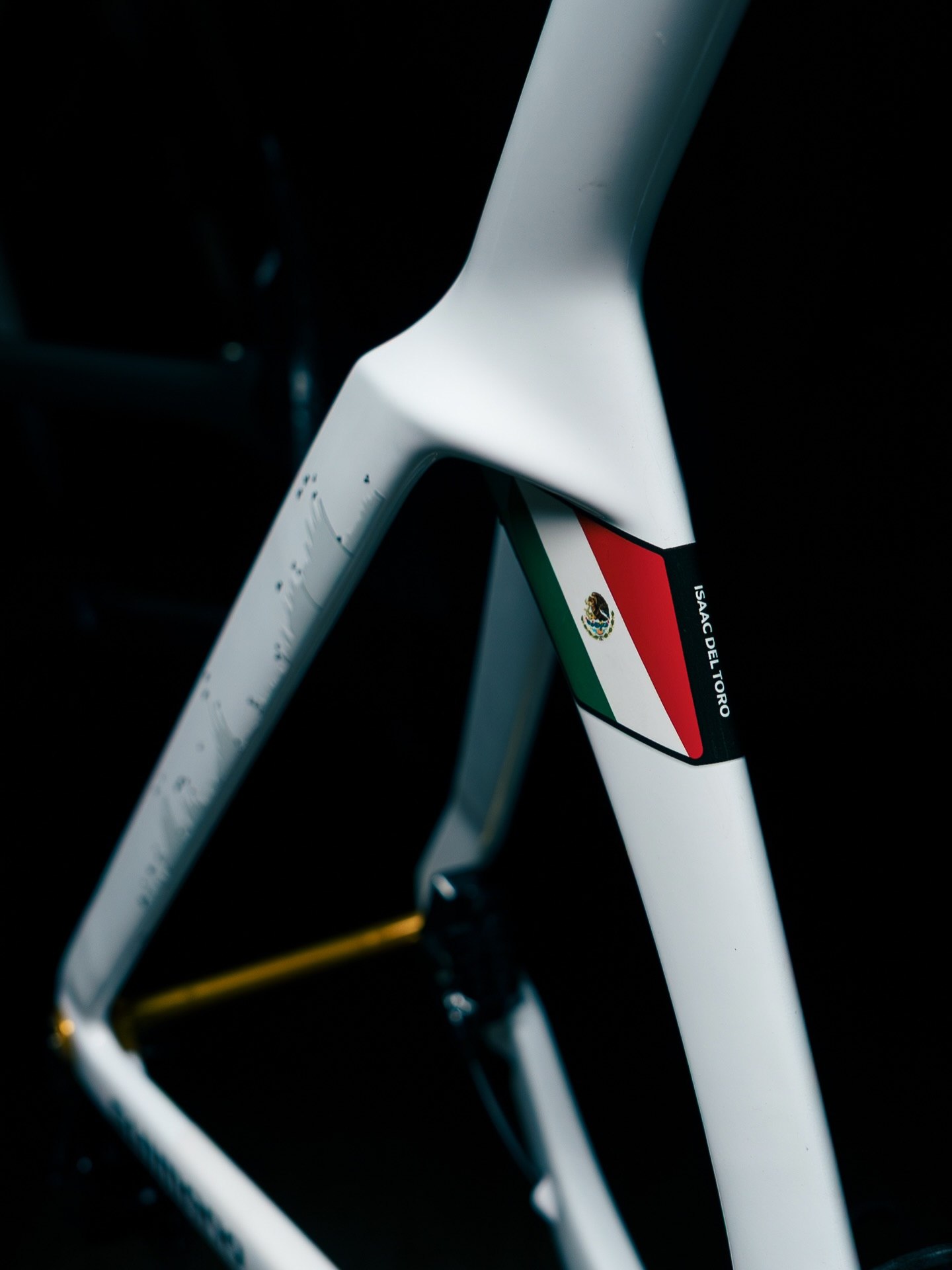 Isaac Del Toro Bike