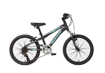 Bianchi Duel 20" Boy 6ск 2022 / Черный