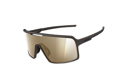 Очки мультиспортивные Limar Argo / Золотой / Линза Фиолетовая