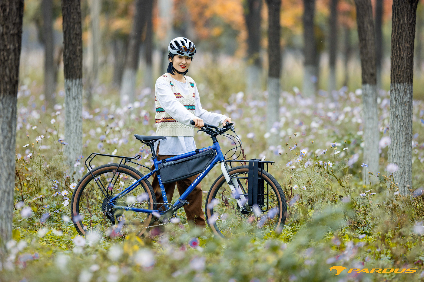 Pardus Explore Sport Urban 27.5" Disc Deore 2023 / Коричневый