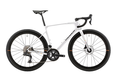 Pardus Robin Sport Disc 105 / Белый