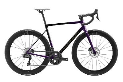 Pardus Robin EVO Disc 105 Di2 2023 / Черный-Фиолетовый