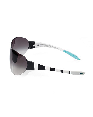 Спортивные очки солнцезащитные Assos Zegho / Черный