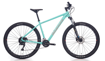 Bianchi Magma 29S Cues P4 / Целесте-Серый