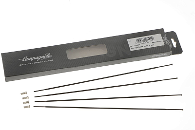 Спицы Campagnolo WH-307EUCS