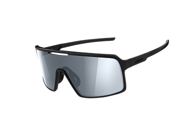Очки мультиспортивные Limar Argo / Черный / Линза Серая