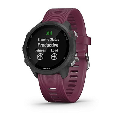 Часы Garmin Forerunner 245 GPS EU / Бордовый