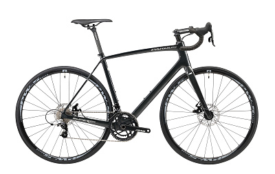 Pardus Super Sport Disc Rival 2023 / Черный