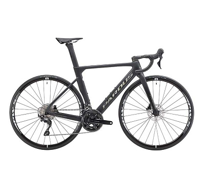 Pardus Spark RS Disc 105 12v 2024 / Черный