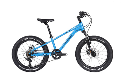 Pardus Mini NAIK 20" MD Tourney 2023 / Голубой-Синий