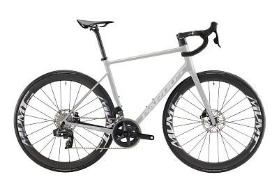 Pardus Super EVO Disc Rival eTap 2023 / Матовый Серый